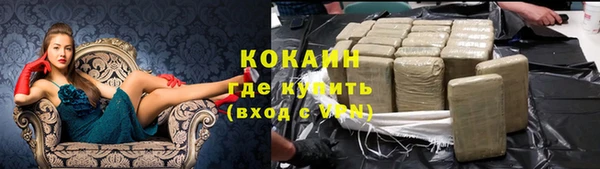 стафф Волоколамск