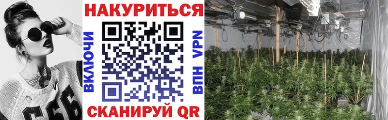 mega как войти Петровск-Забайкальский Каннабис LSD WEED